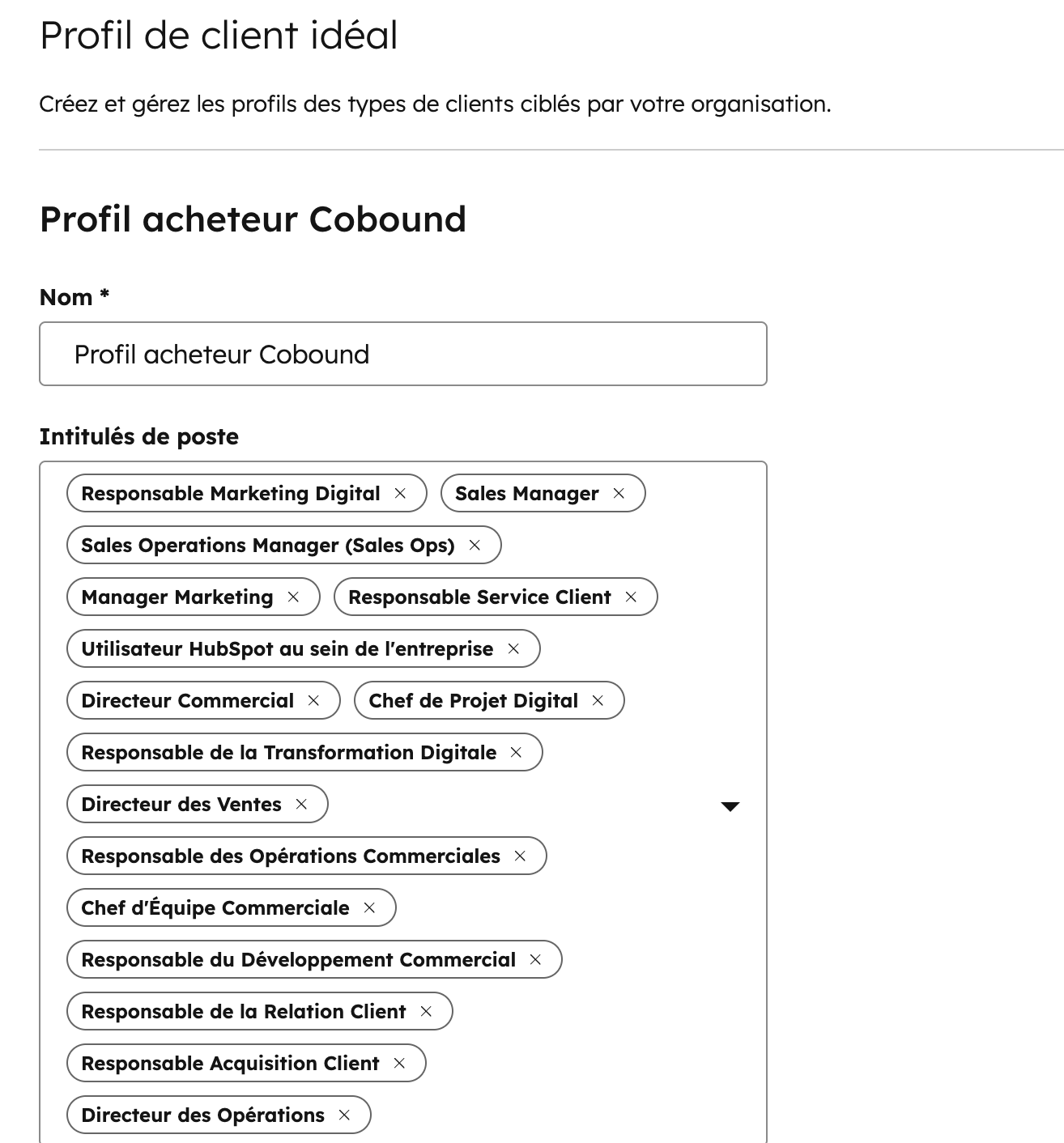 Profil acheteur HubSpot